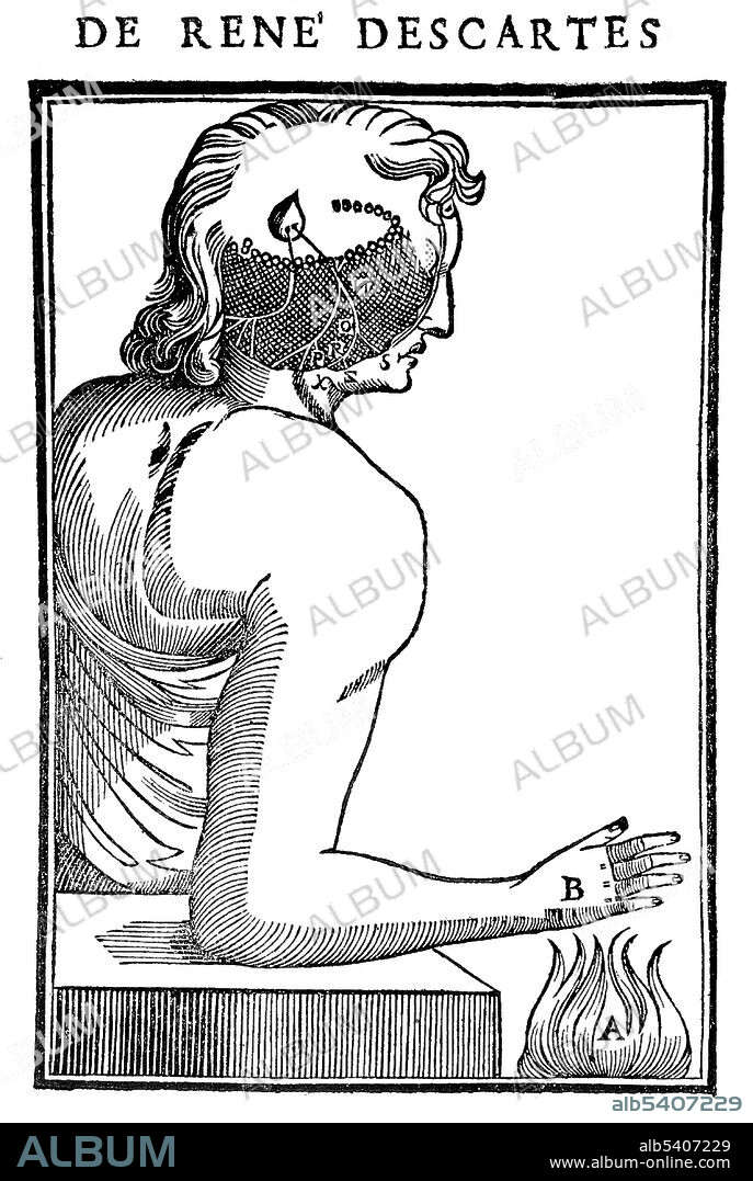 Model of causality: when a causes y, b property of a is communicated to b. Descartes originally planned to publish De homine in 1633, but hearing of Galileo’s condemnation by the Church, he became concerned for his own safety and refused to have it printed. The first edition of this work appeared 12 years after his death. René Descartes (March 31, 1596 - February 11, 1650) was a French mathematician, philosopher and physiologist. Living on his modest inherited wealth, Descartes traveled, studied, wrote, and served as a soldier in Holland, Bohemia and Hungary. He created analytical geometry, which translates geometrical problems into algebraic form so that algebraic methods can be applied to their solution. Conversely he applied geometry to algebra. He propounded Cartesian dualism, stating that mind and matter are two distinct substances which can interact. He believed that god is the prime mover of matter, and that everything has a cause. Descartes died in 1650, at the age of 53, soon after becoming tutor to queen Christina of Sweden. The cause of death was said to be pneumonia.