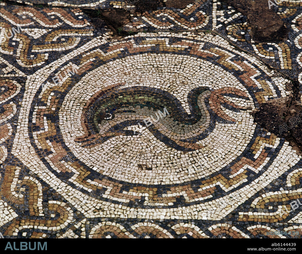 AUTOR LIBRE 01307. MOSAICO-DELFIN.