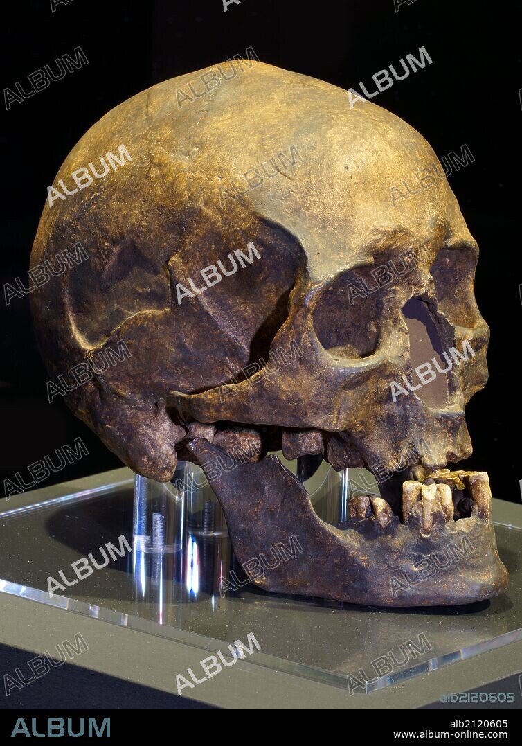 PIECES OF THE EXHIBITION "ART WITHOUT ARTISTS": REPLICA OF SKULL AND JAW OF CRO-MAGNON MAN, ORIGINAL FROM CAVE OF CHANCELADE (FRANCE), 30000 YEARS.