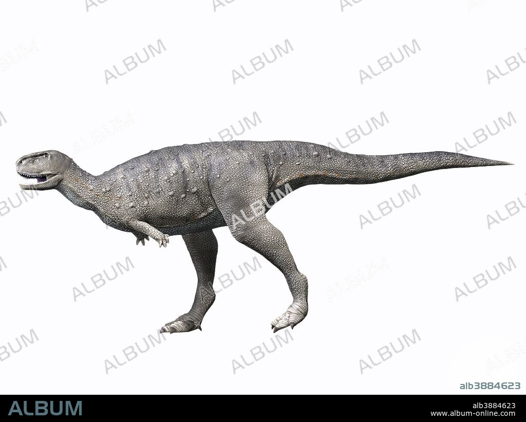 Rugops primus, Late Cretaceous of Niger.