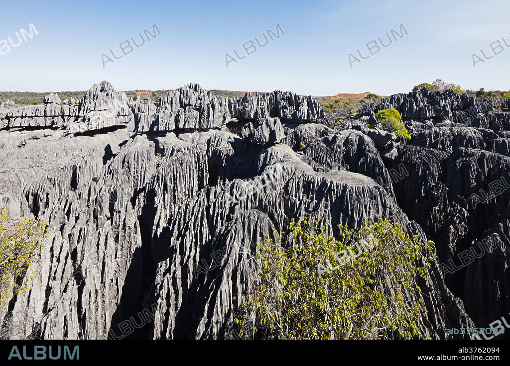 Grand Tsingy, Tsingy du Bemaraha National Park, UNESCO World Heritage Site, western area, Madagascar, Africa.