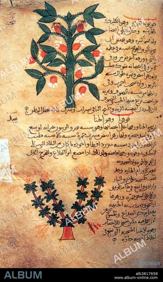 Undated copy of of Avicenna's Canon of Medicine. The Canon of Medicine is a 14 volume Persian medical encyclopedia written by Avicenna and completed in 1025. The work covers such basic subjects as anatomy and hygiene, describes a vast range of diseases and injuries, and lists hundreds of different medicines. Avicenna (980-1037) was a Persian polymath, who wrote almost 450 treatises on a wide range of subjects, of which around 240 have survived. His most famous works are The Book of Healing, a vast philosophical and scientific encyclopedia, and The Canon of Medicine, which was a standard medical text at many medieval universities. The Canon of Medicine provides a complete system of medicine according to the principles of Galen and Hippocrates. His corpus also includes writing on philosophy, astronomy, alchemy, geology, psychology, Islamic theology, logic, mathematics, physics, as well as poetry. He is regarded as the most famous and influential polymath of the Islamic Golden Age. He died in 1037 at the age of 58.