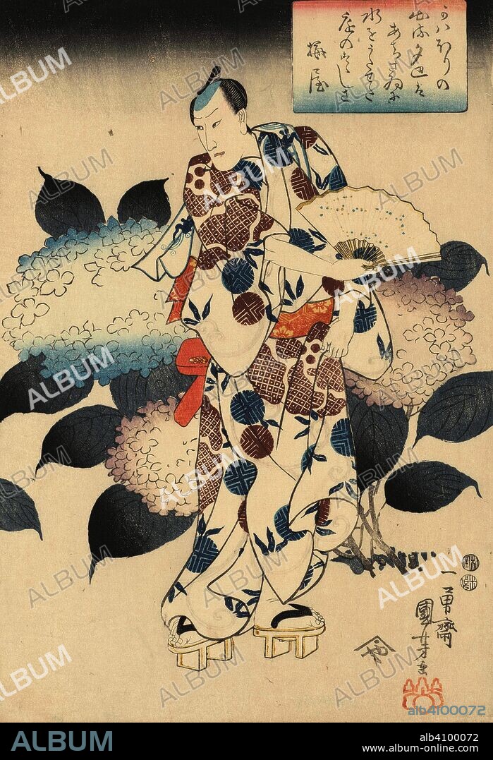 UTAGAWA KUNIYOSHI. An Actor Holding a Fan in front of Hydrangeas, one sheet of a polyptych. Date: 1847-1850. Dimensions: 37 cm x 25 cm.