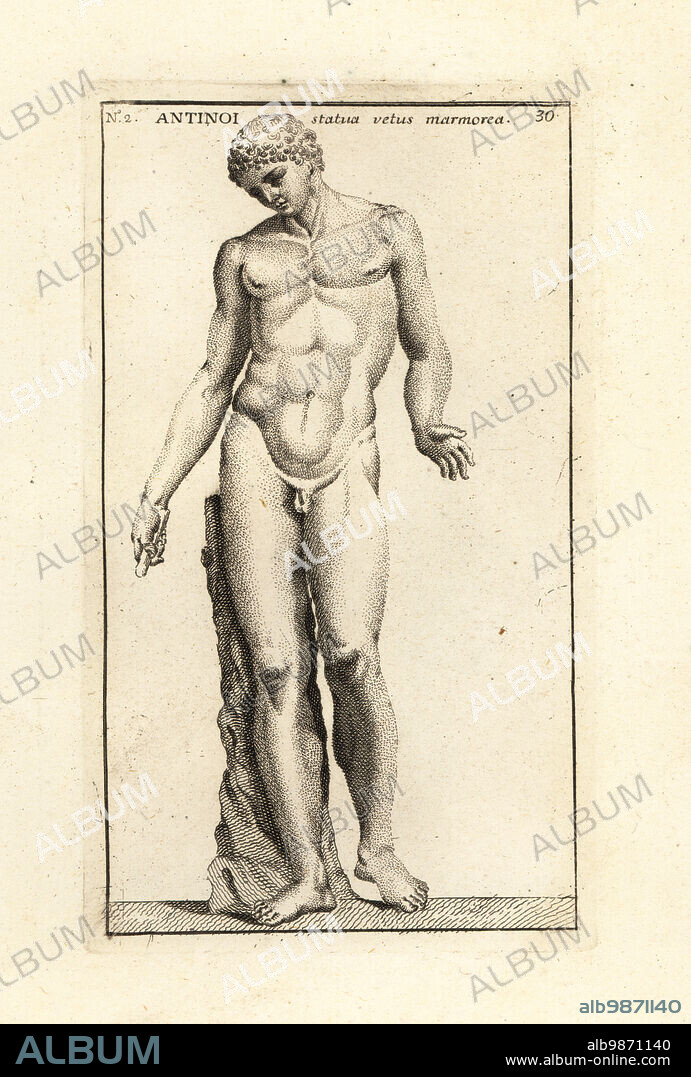 Statue of Antinous, Emperor Hadrian's lover. Capitoline Antinous, marble statue of a young nude male found at Hadrian's Villa, Tivoli. Perhaps a Roman copy of an early 4th century BC Greek statue of Hermes. Antonoi statua vetus marmorea. Copperplate engraving by Giovanni Battista Cannetti from Copperplates of the most beautiful ancient statues of Rome, Calcografia di piu belle statue antiche a Roma, engraved by Cannetti all'Arco della Ciambella, published by Gaetano Quojani, Rome, 1779.