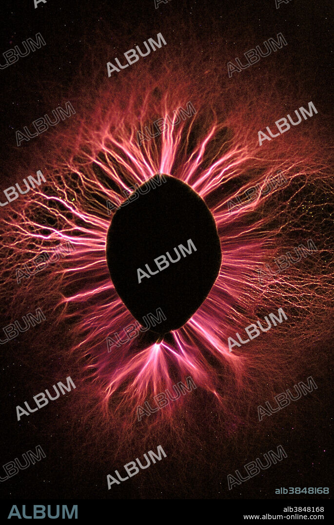 Corona in Kirlian photography of a leaf.