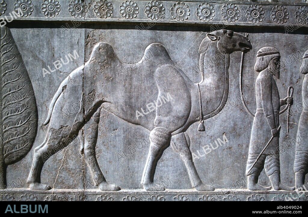 Relief of Parthians, the Apadana, Persepolis, Iran. The capital of Achaemenid Persia, Persepolis was predominantly built during the reigns of the dynasty's founder, Darius I (522-485 BC) and his son Xerxes I (485-465 BC). One of the main, and earliest, buildings of the city was the great audience hall, the Apadana. Every year the king would receive tribute in the form of gifts from representatives of all the poples of the Achaemenid empire, which at its greatest extent stretched from Libya in the west to the Indus valley in the east. The eastern entrance to the Apadana was decorated with reliefs of the empire's subject peoples.
