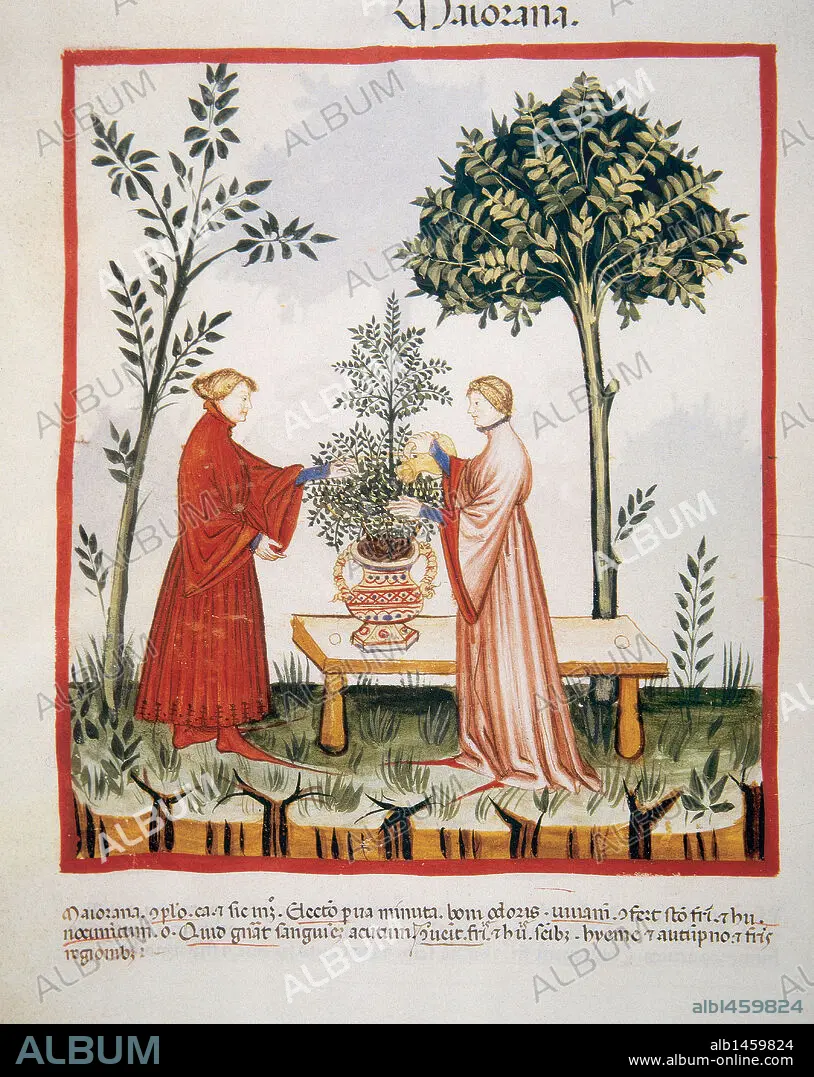 Tacuinum Sanitatis. Medieval Health Handbook, dated before