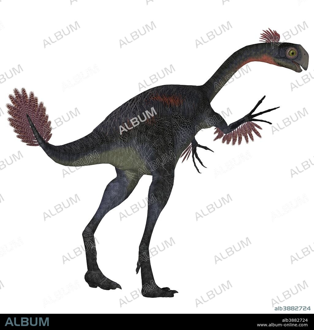 Gigantoraptor was a theropod dinosaur that lived in Inner Mongolia, China in the Cretaceous Period.