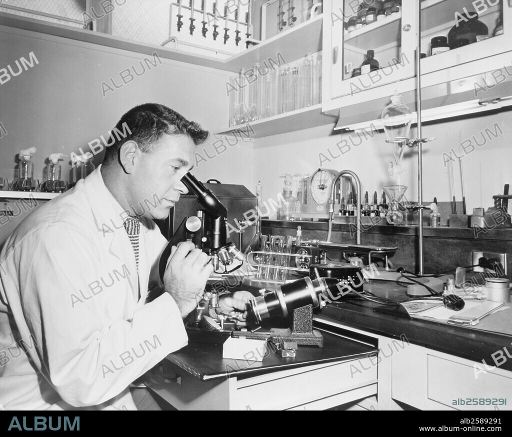 Henry Isenberg, the chief microbiologist, examines a specimen of sperm at the Long Island Jewish Hospital Infertility Clinic. The centre that the hospital belongs to has one of the largest graduate education programs in New York State.