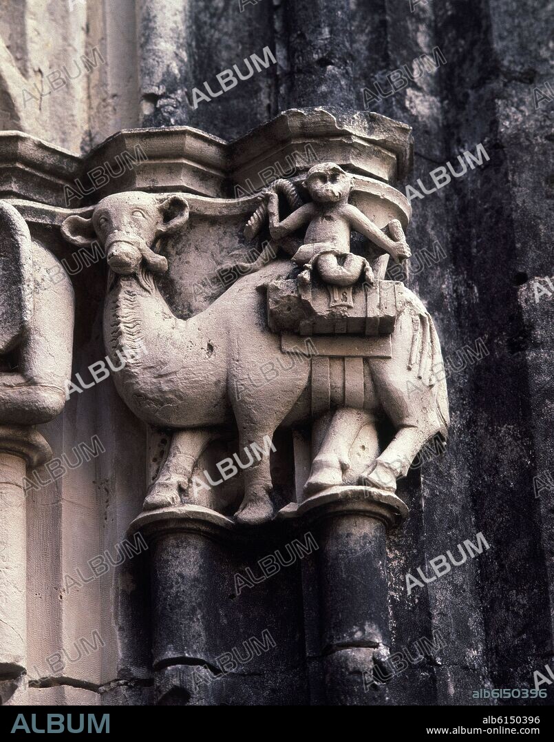REINARD FONOLL (1321-1362). CAPITEL DEL CLAUSTRO - MONO MONTANDO UN DROMEDARIO - SIGLO XIV - GOTICO CATALAN - FOTO AÑOS 70.