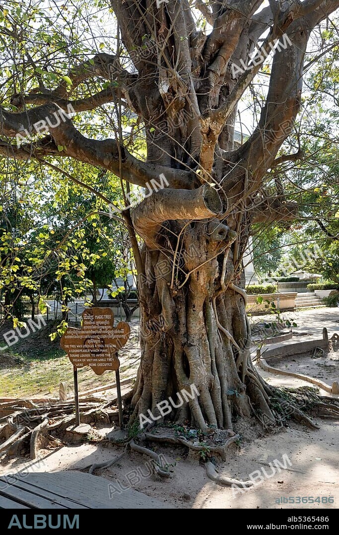 Magic Tree, Killing Fields Memorial of the Khmer Rouge, Choeung Ek, Phnom Penh, Cambodia, Asia.
