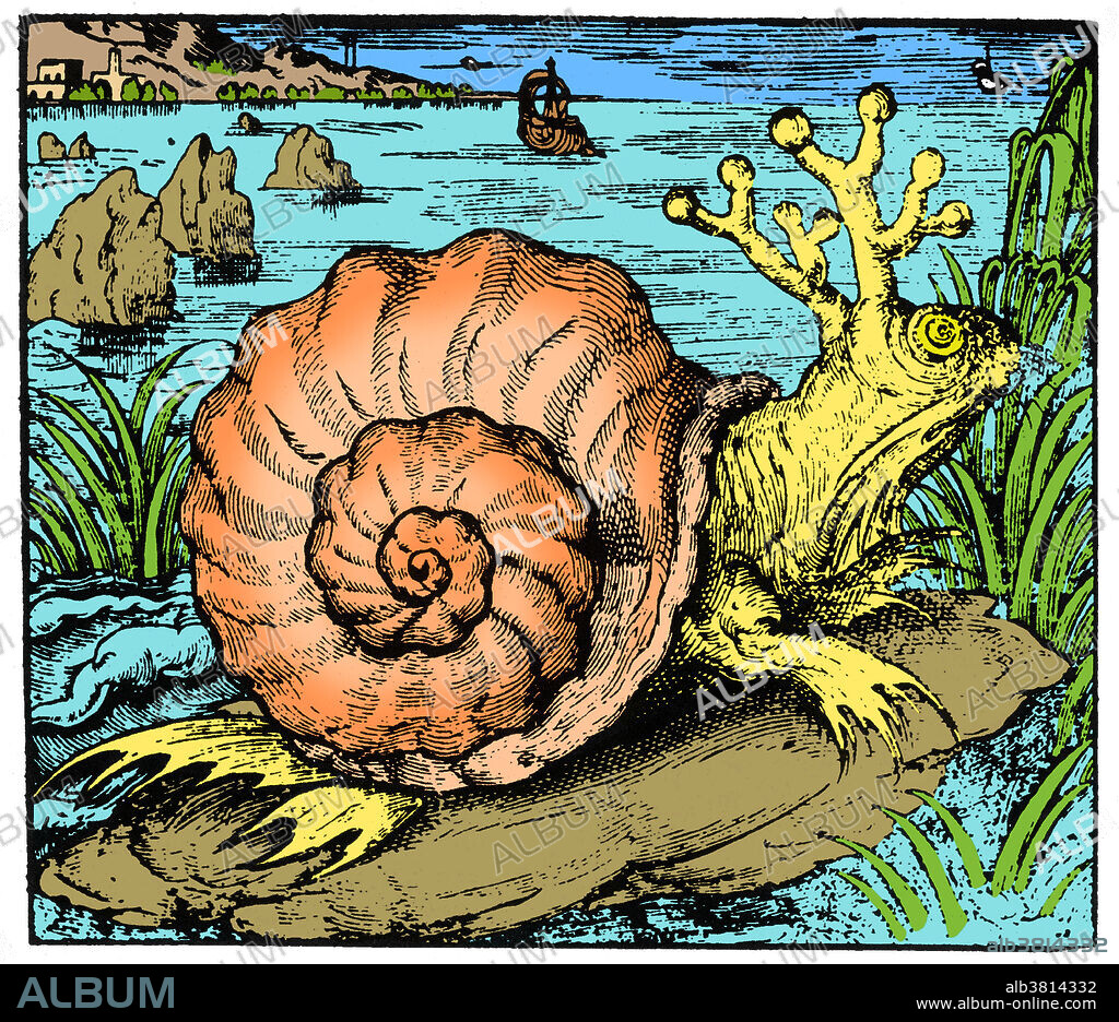 Snail from Sarmatian Sea, Legendary Creature