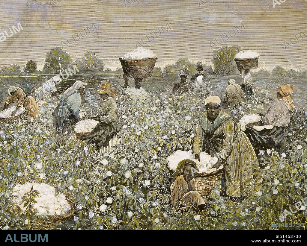 HISTORIA ESTADOS UNIDOS. 'ESCLAVOS RECOLECTANDO ALGODON'. Grabado de 'La Ilustración Española y Americana' (S. XIX) .