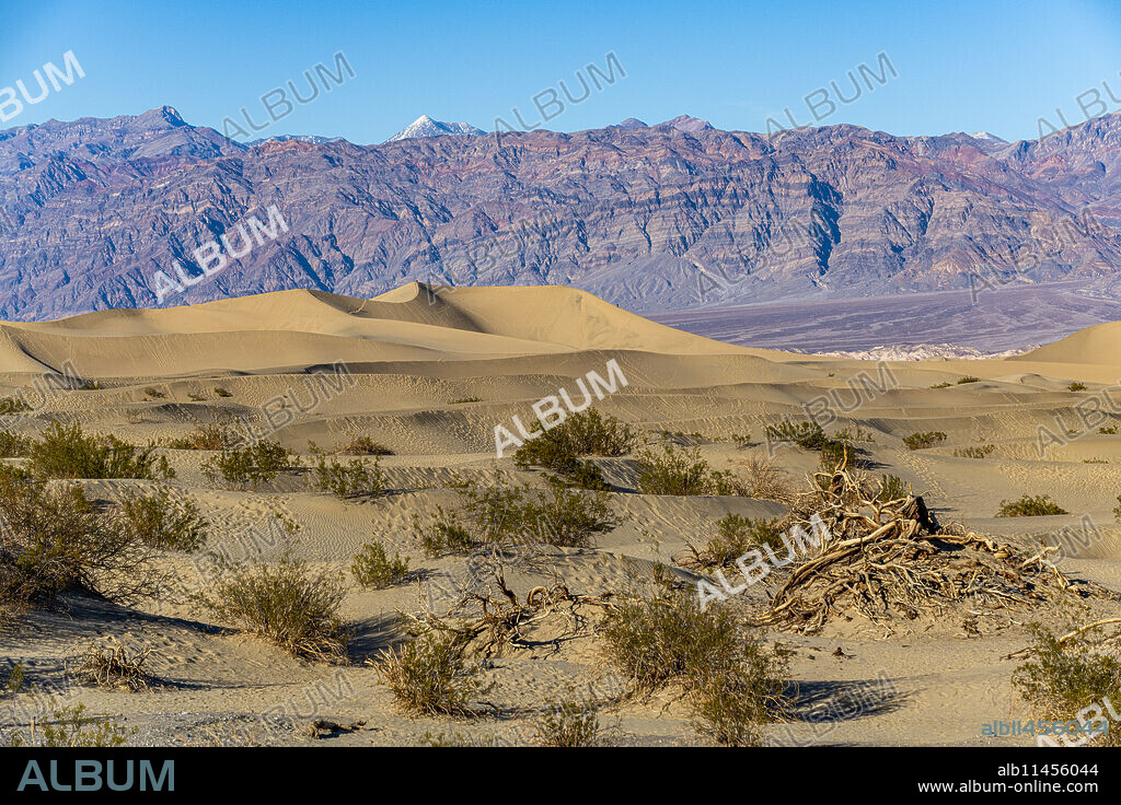 Mesquite Flat Sand Dunes, Death Valley, California, United States of America, North America.
