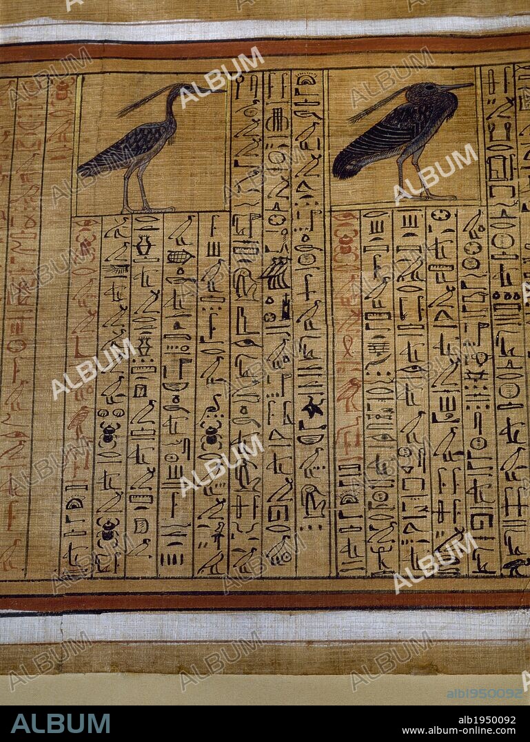ARTE EGIPCIO. EGIPTO. PAPIRO del LIBRO DE LOS MUERTOS, procedente de la tumba de KHA o CHA. Detalles del párrafo escrito en JEROGLIFICO con la representación de dos aves, la de la derecha, una GARZA, representando el AVE FENIX. Museo Egipcio. Turín. Italia.
