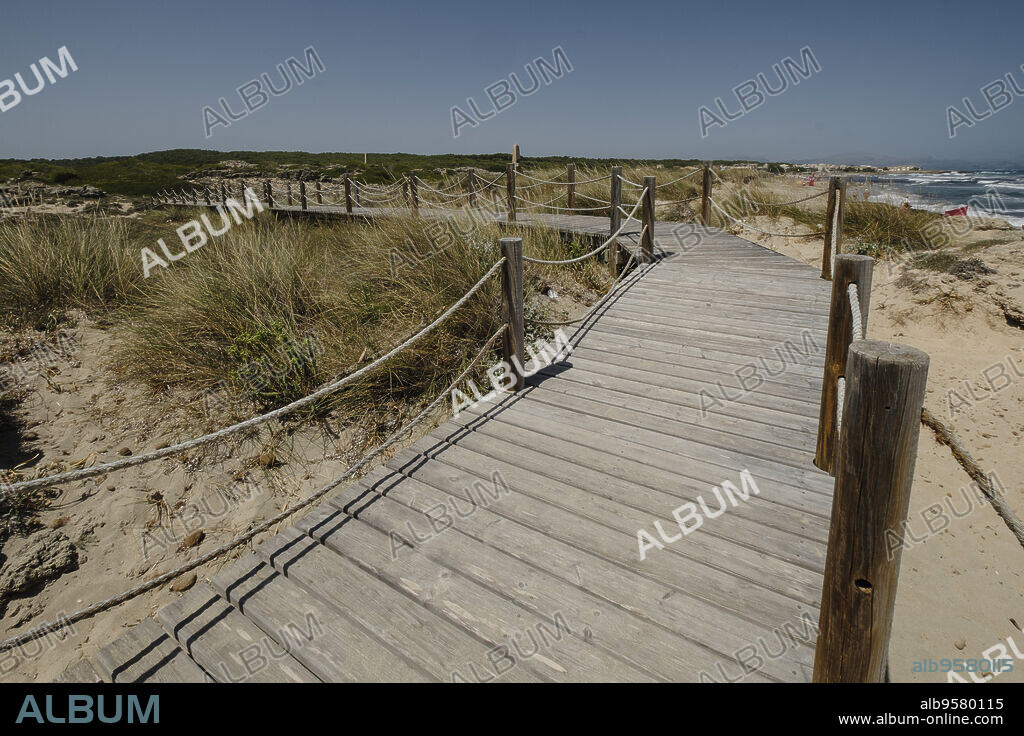 pasarelas de madera sobre las dunas, Son Serra de Marina ,Mallorca, balearic islands, Spain.