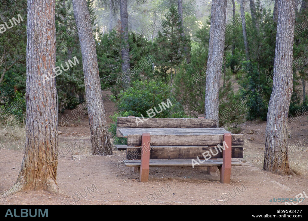area recreativa de S'Argentera, Sant Carles de Peralta, Ibiza, balearic islands, Spain.