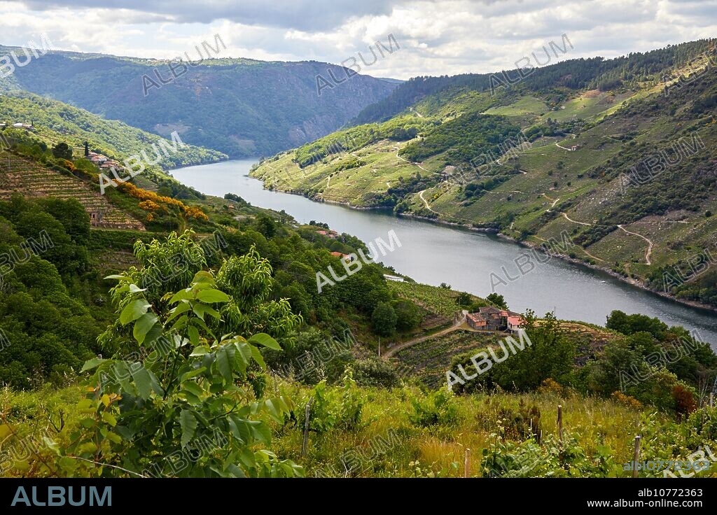 Sil river canyon, Ribeira Sacra, Parada de Sil, Ourense, Galicia, Spain.