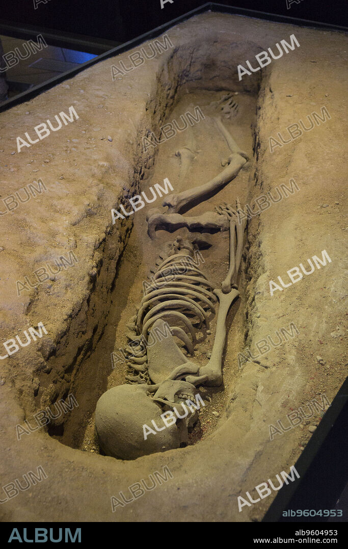 museo arqueologico y de historia de Elche Alejandro Ramos Folqués, Elche, Alicante, comunidad Valenciana, Spain, Europe.