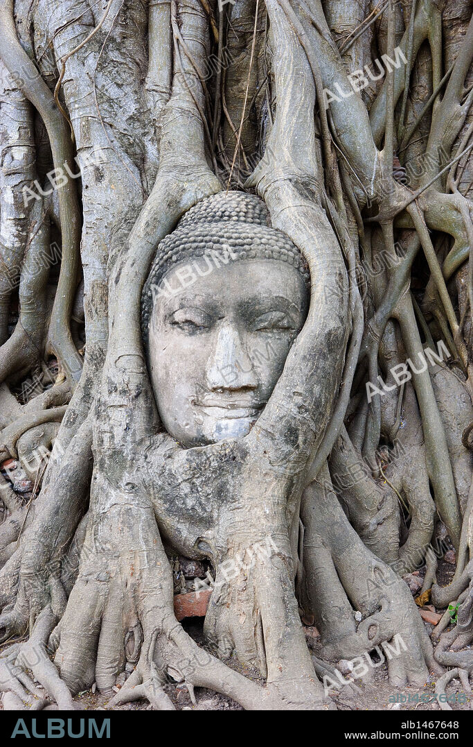 CABEZA de una ESTATUA DE BUDA cubierta por las raíces de un árbol en el TEMPLO DE WAT MAHATHAT. AYUTTHAYA (Patrimonio de la Humanidad). Tailandia.
