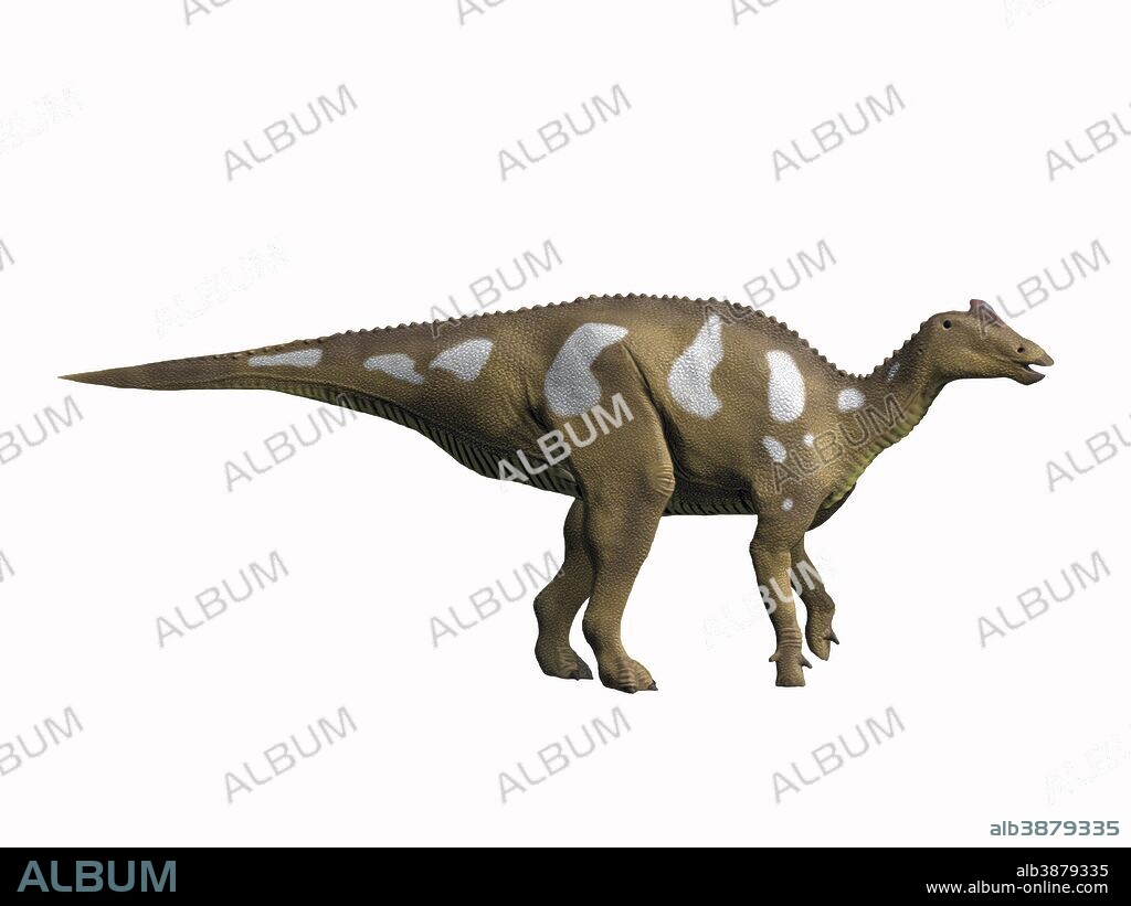 Arenysaurus ardevoli, Late Cretaceous of Spain.