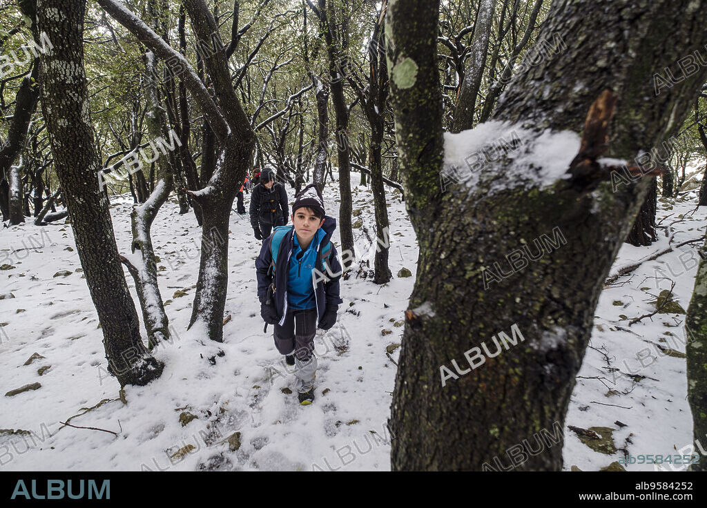 hikers in the Son Palou forest, Orient valley, Bunyola, Mallorca, Balearic Islands, Spain.