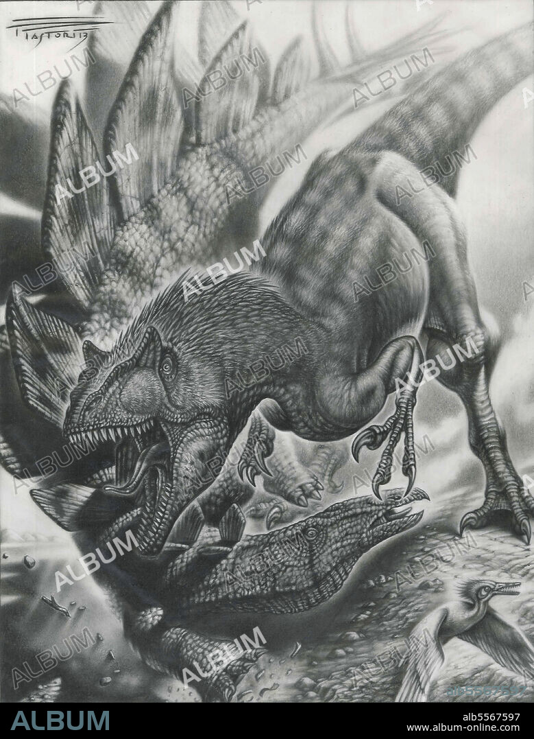 Allosaurus vs. Stegosaurus, graphite.