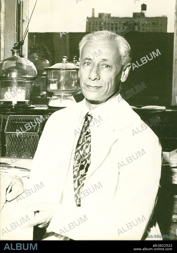 Michael Heidelberger (April 29, 1888 - June 25, 1991) was an American immunologist, one of the fathers of modern immunology and the founder of immunochemistry. By applying the quantitative methods of analytical chemistry to the study of the mammalian immune system, he moved immunology from the imprecise realm of contemporary colloidal chemistry into the exact field of biochemistry, thereby laying a path for a new understanding of infectious diseases, their treatment, and their prevention. He devoted himself to exploring the implications of his path-breaking discovery, made with Oswald T. Avery in 1923, that type-specific antigens of pneumococcus bacteria, the most common cause of pneumonia, are complex polysaccharides. He showed that antibodies are proteins and that antibodies and antigens are multivalent, meaning that they have two or more binding sites. He used these findings to develop a simple vaccine against pneumonia whose effectiveness was first proven in WWII soldiers, and which in modified form remains in use today. He published over 350 scientific articles, lived to be 103, and was in the laboratory until a few weeks before his death in 1991.