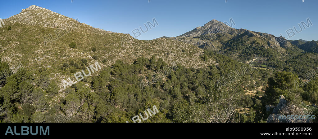 Puig de Galatzó, 1027 metros de altura, Sierra de Tramuntana, Mallorca, Balearic Islands, Spain.
