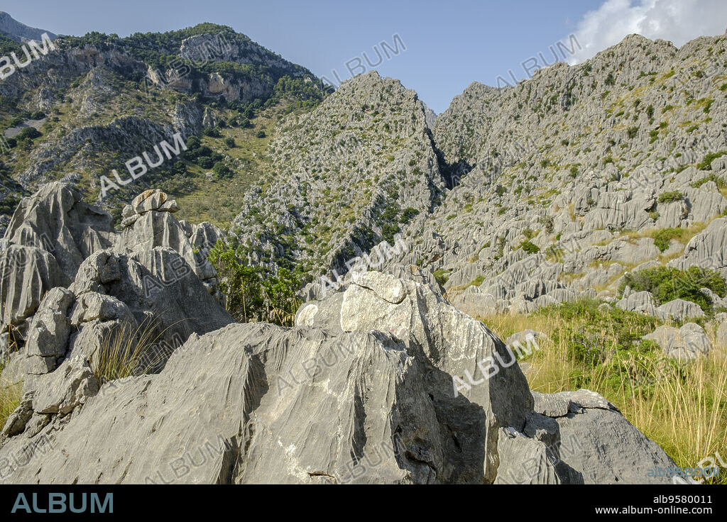 paisaje carstico de es Torrent des Boverons y Entreforc, , Escorca, Paraje natural de la Serra de Tramuntana, Mallorca, balearic islands, Spain.