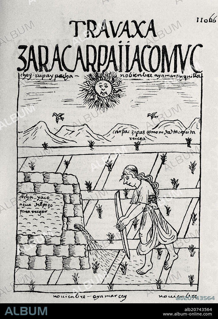 FELIPE GUAMAN POMA DE AYALA (1535-1617). Peruvian codex. 'Nueva Cronica y Buen Gobierno'. Agriculture in November: an inca peasant waters cultivations. Madrid, National library.