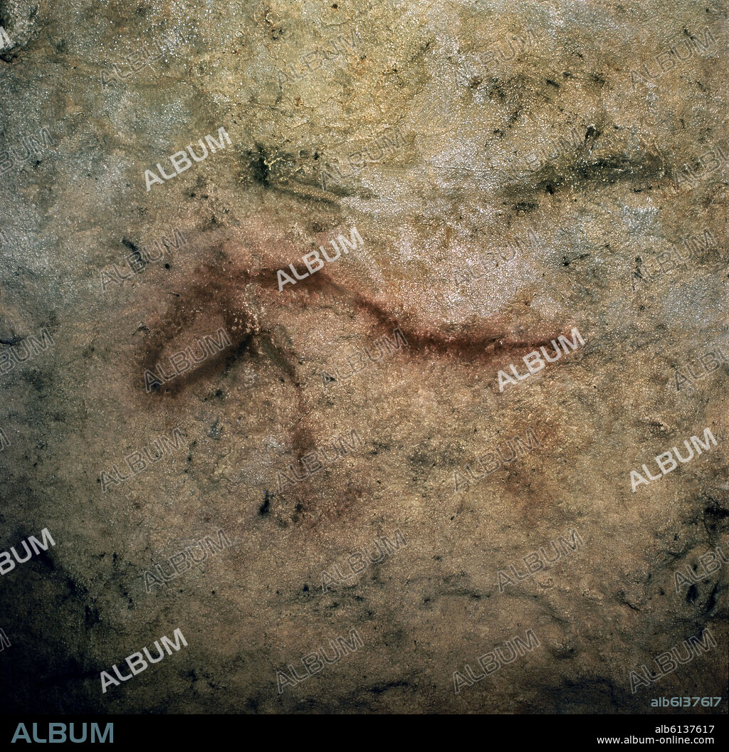 PINTURAS RUPESTRES DE LA CUEVA DE LA PILETA - CABALLO - PALEOLITICO SUPERIOR.