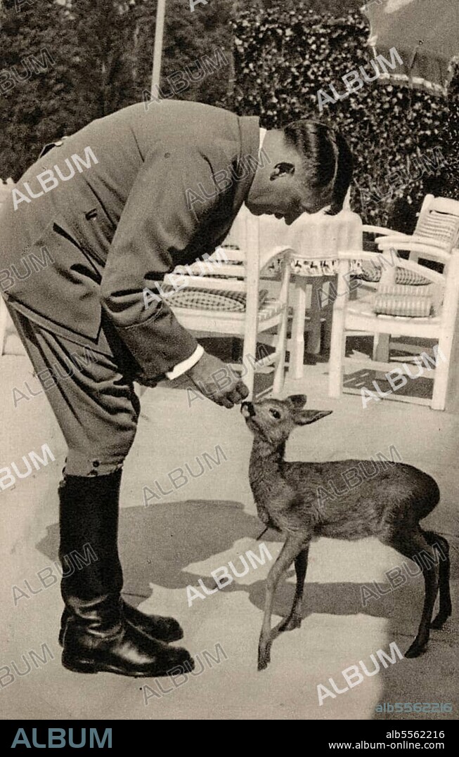 Adolf Hitler (* 20 April 1889 in Braunau am Inn) († 30 April 1945 Berlin), Leader of the Nazi Party, Reich Chancellor from 1933, also self-appointed "Fuehrer" and head of state of Germany, Fawn, animal love.