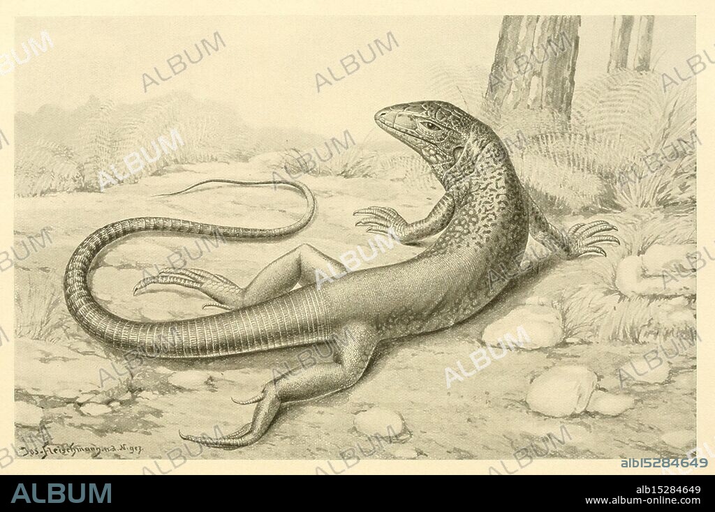 Brehms Tierleben. Leipzig, Bibliographisches Institut, 1911-1919, Zoology, Animal Behavior, A detailed illustration showcases a lizard with distinctive markings and elongated body positioned in an unusual upside-down perspective. Its scaly texture is meticulously rendered, featuring a mix of light and dark patterns that enhance its realistic appearance. The creature is depicted with limbs splayed outward, emphasizing its agility and the natural grace of reptiles. Surrounding elements include faint outlines of a habitat, suggesting a connection to its environment, with soft shading providing depth to the overall composition. This artwork reflects an appreciation for the intricacies of wildlife, inviting viewers to marvel at the beauty of this intriguing creature.