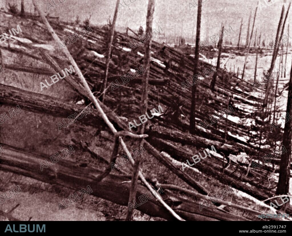 Photograph of fallen trees after the Tunguska event. The Tunguska event was a large explosion, which occurred near the Podkamennaya Tunguska River in what is now Krasnoyarsk Krai, Russia. Dated 1908.