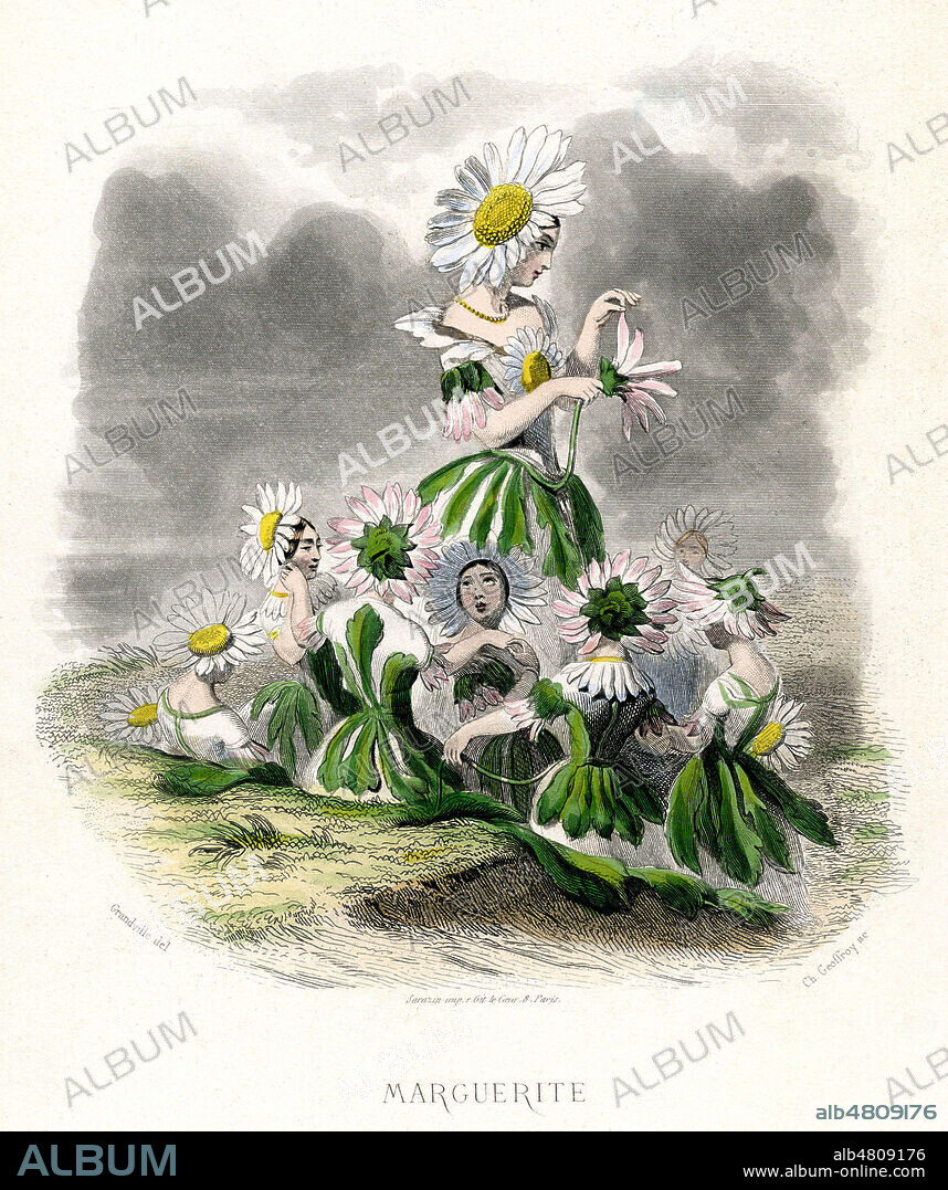 Marguerite. Illustration de GRANDVILLE (1803-1847) pour Les Fleurs animees de Taxile DELORD (1815-1877). (Edition de 1867-La 1ere edition date de 1847). Credit : Collection Jonas/Kharbine-Tapabor.