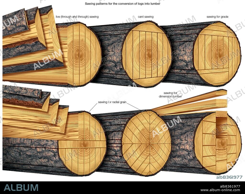 Log-sawing patterns.