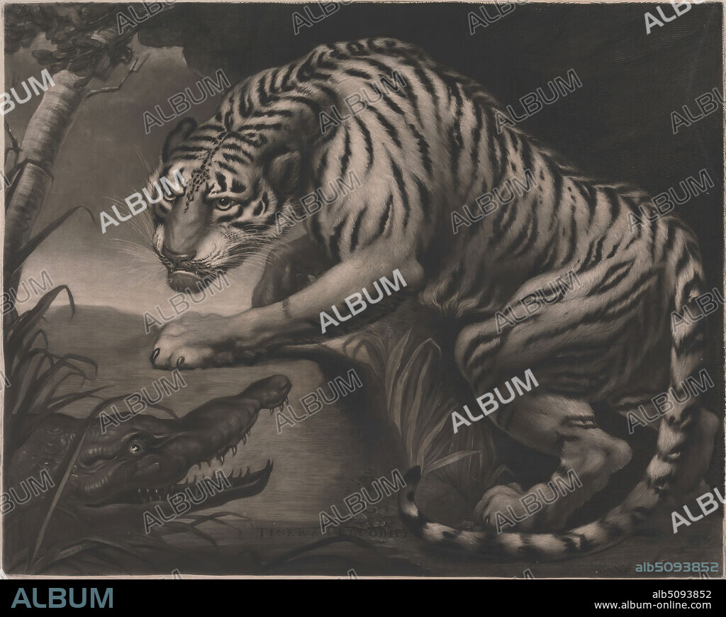 Tiger and Crocodile, Print made by Charles Turner, 17741857, British, after James Northcote, 17461831, British, Published by James Daniell, active ca. 17801820, British, 1799, Mezzotint and etching on medium, slightly textured, cream wove paper, Sheet: 19 1/4 × 24 inches (48.9 × 61 cm) and Image: 19 × 23 3/4 inches (48.3 × 60.3 cm), animal art, crocodile, tiger.