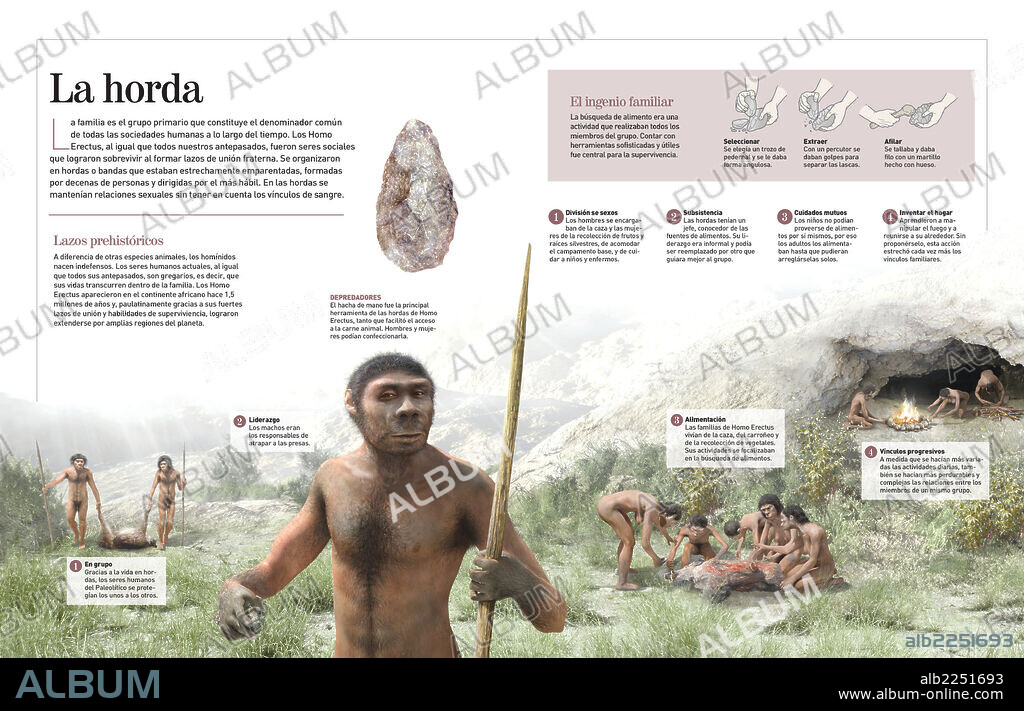 The horde. Infographic about the living of Homo Erectus 800,000 years ago: in groups or gangs closely related and organised.