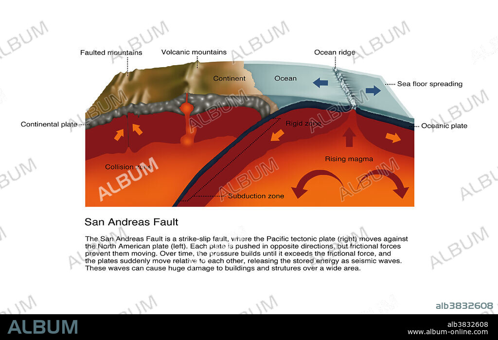 Diagram of the San Andreas Fault. The San Andreas fault is a strike-slip fault, where the Pacific tectonic plate (right) moves against the North American plate (left). Each plate is pushed in opposite directions, but frictional forces prevent them from moving. Overtime the pressure builds until it exceeds the frictional force, and the plates suddenly move relative to each other, releasing the stored energy as seismic waves. These waves can cause huge damage to buildings and structures over a wide area.