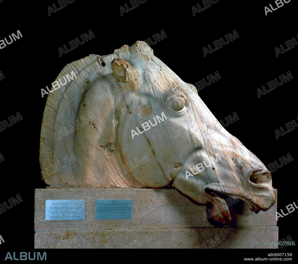 From the east pediment of the Parthenon, marble, British Museum, London Horse from the Chariot of Selene(Moon) 438-432 B. C. Elgin Marbles.
