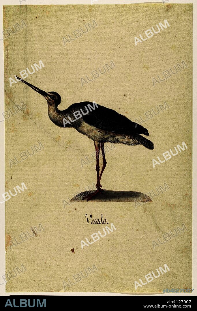 Zwarte Ruiter. Vecada (title on object). Lombard album (series title). Draughtsman: anonymous. Dating: 1560 - 1585. Place: Nederlanden. Measurements: h 185 mm × w 206 mm × h 430 mm × w 280 mm.