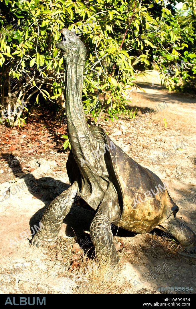Bronze sculpture of the extinct Rodrigues Giant Tortoise (Cylindraspis vosmaeri). This sculpture is on Ile aux Aigrettes, Mauritius.