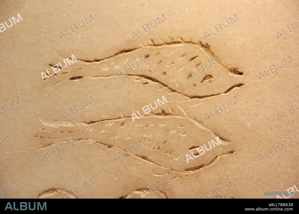 Early Christian Art. Italy. Early Christians. Roman tombstone with Christian iconography. Fish symbol. Detail. 4th century BC. Rome. Baths of Diocletian, part of the National Roman Museum Rome. Italy.