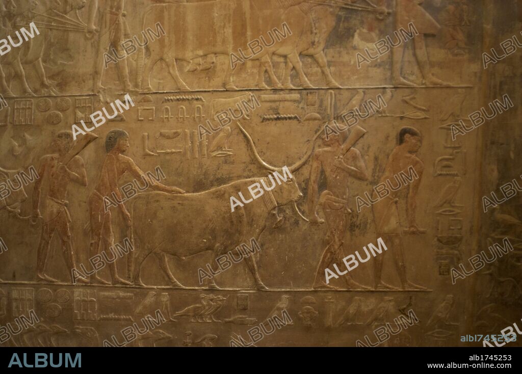 ARTE EGIPCIO. EGIPTO. IMPERIO ANTIGUO. V DINASTIA. MASTABA DE PTAHHOTEP Y AKHETHOTEP (2400 a. C.). Altos funcionarios egipcios, padre e hijo. RELIEVE CON LA REPRESENTACION DE UNA ESCENA DE GANADERIA. SAKKARA.