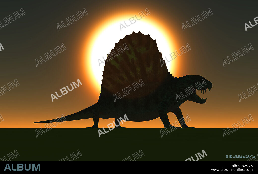 A sail-backed Dimetrodon from Earth's Permian period of time.