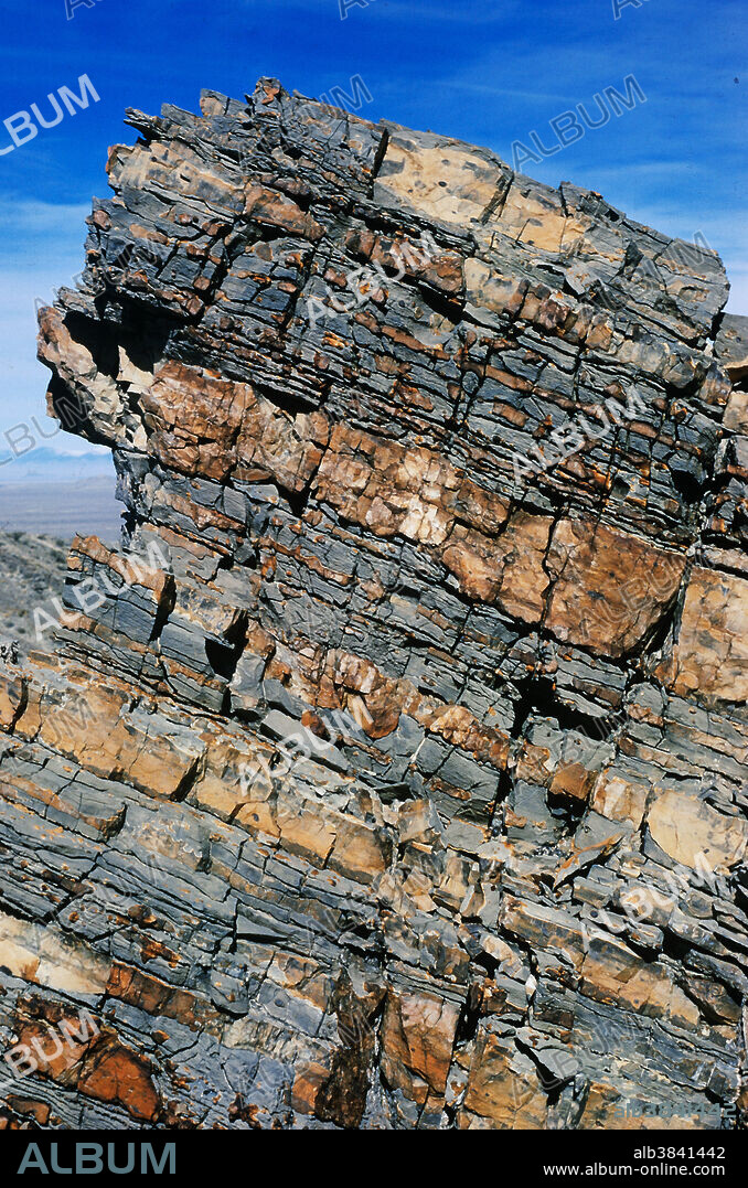 Sedimentary rocks are characterized by layers, a feature known as bedding. Bedded rocks often contain fossils and provide a snapshot of periods of earth history. Earth movements can bend layers of sediments, producing 'wrinkles' known as folds. Earth movements can also uplift bedded sedimentary rocks, sometimes to very steep angles. The photo shows layers of limestone inter-bedded with layers of chert (silica). These beds were deposited in ancient seas, then later compacted and uplifted.