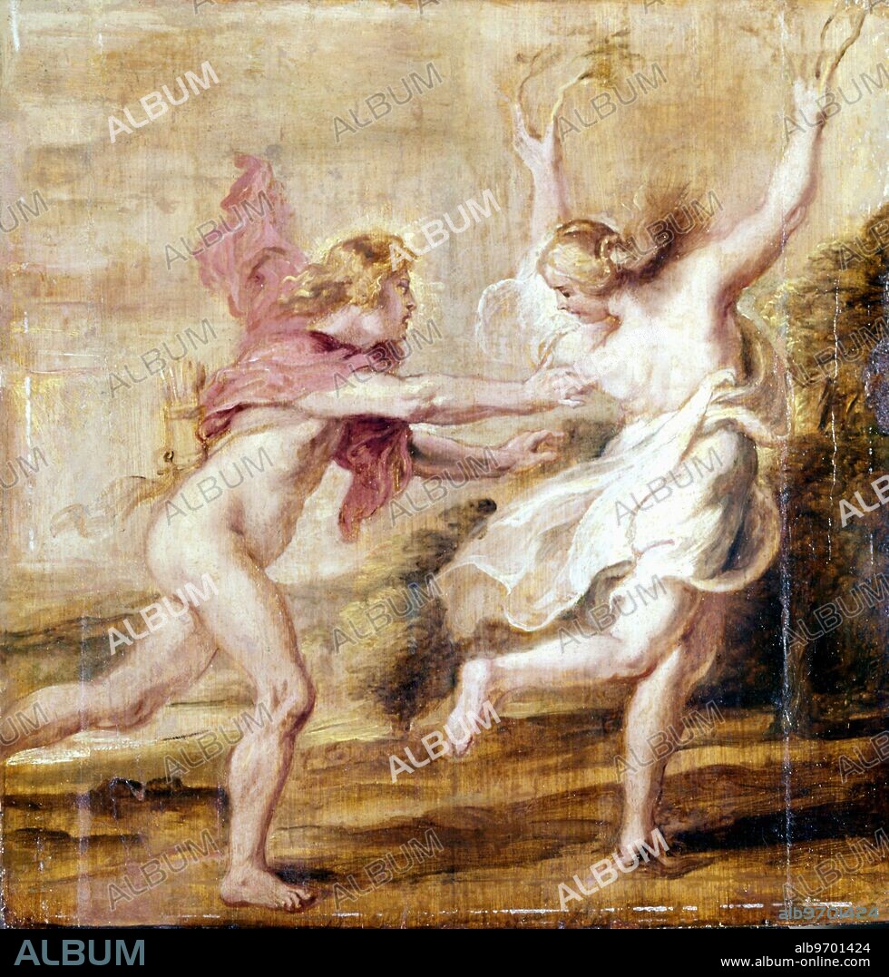 Apollo and Daphne - Peter Paul Rubens (1577-1640) c.1636. According to Greek myth Apollo chased the nymph Daphne (Greek: "laurel") daughter either of Peneus and Creusa, or of Ladon. His infatuation was caused by an arrow from Eros, who was jealous because Apollo had made fun of his archery skills. Eros also claimed to be irritated by Apollo's singing. Daphne prayed to the river god Peneus to help her and he transformed her into a laurel tree (Laurus nobilis), which became sacred to Apollo. ©TopFoto.