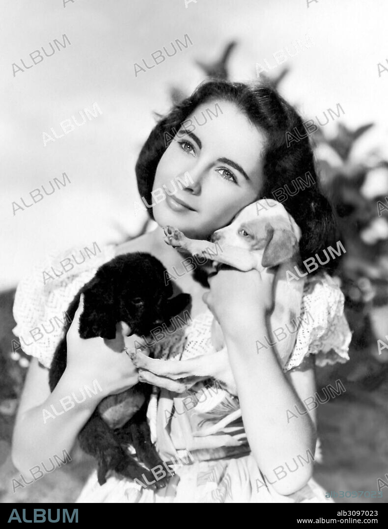ELIZABETH TAYLOR en FUEGO DE JUVENTUD, 1944 (NATIONAL VELVET), dirigida por CLARENCE BROWN. Copyright M.G.M.