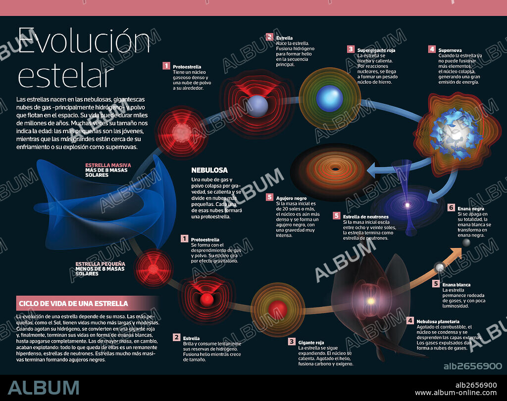Evolución estelar. Infografía de la evolución de las estrellas: desde que nacen en las nebulosas, hasta las más grandes, próximas a su enfriamiento o explosión como supernovas.